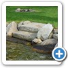 Our Landscaping & Hardscaping