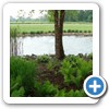 Our Landscaping & Hardscaping