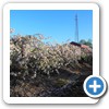 Our Nursery & Greenhouse