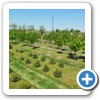 Our Nursery & Greenhouse