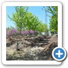 Our Nursery & Greenhouse