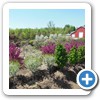 Our Nursery & Greenhouse