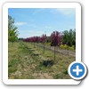 Our Nursery & Greenhouse