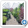 Our Nursery & Greenhouse